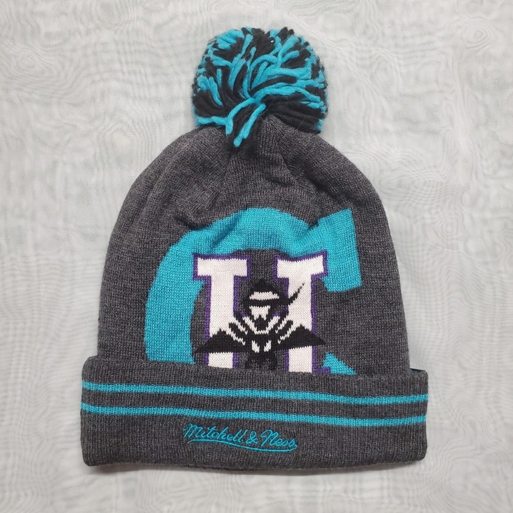 UNC Charlotte Hornets Beanie
